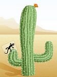pic for Lizard n cactus